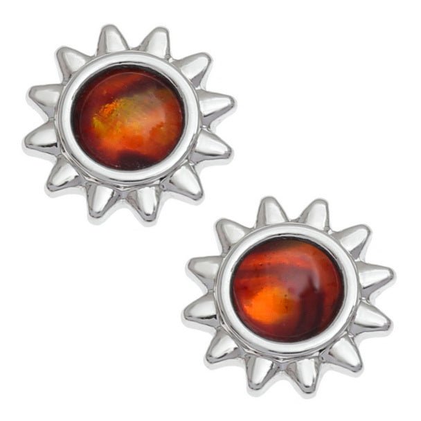 Amber Sun Paua Shell Earrings - Tide Jewellery from thetraditionalgiftshop.pro