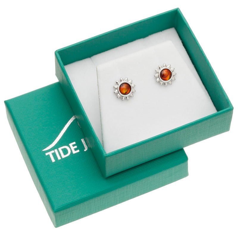 Amber Sun Paua Shell Earrings - Tide Jewellery from thetraditionalgiftshop.pro