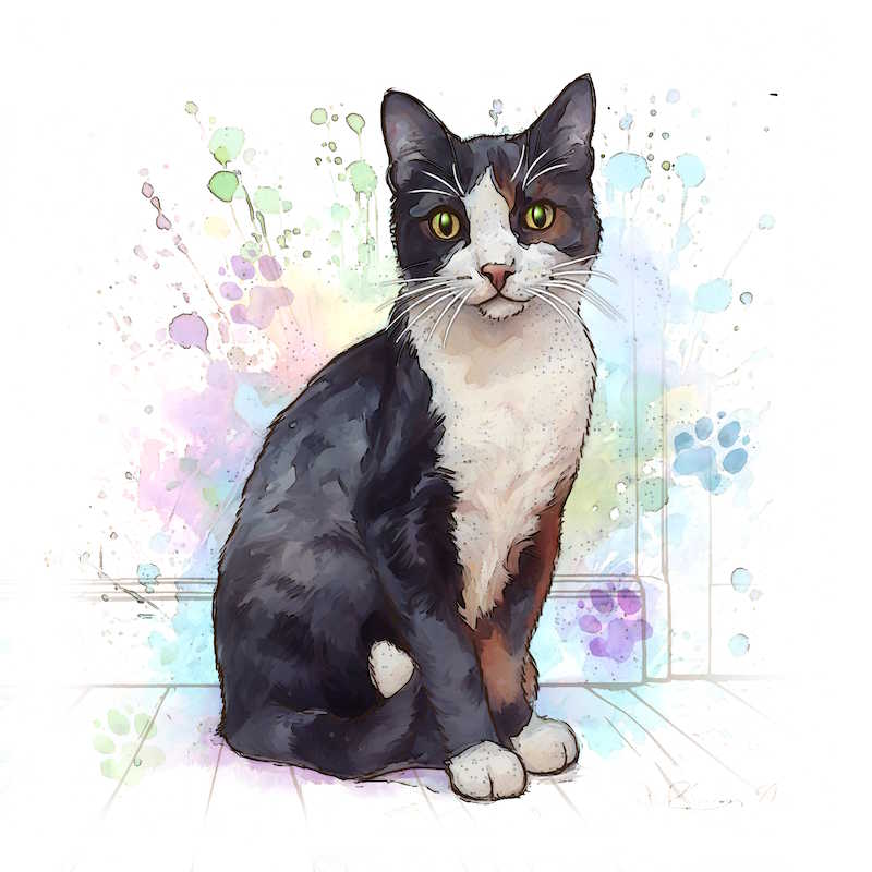 Black & White Cat Ceramic Art Tile - Art of Arora from thetraditionalgiftshop.pro