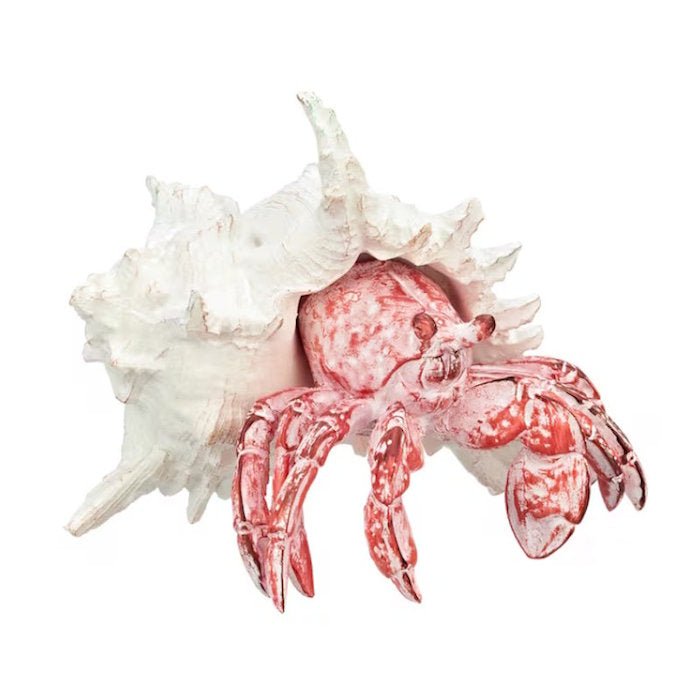 Coral Creatures - Hermit Crab - Coral Creatures from thetraditionalgiftshop.pro