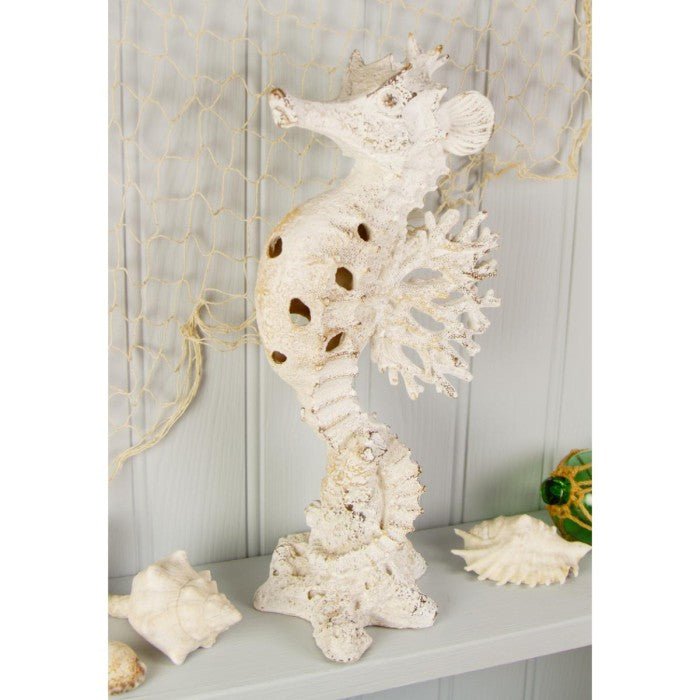 Coral Creatures - Seahorse - Coral Creatures from thetraditionalgiftshop.pro