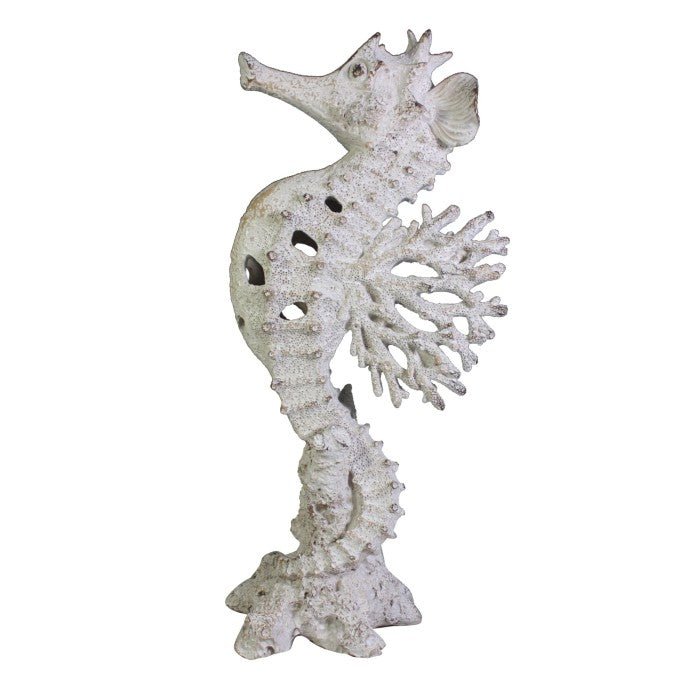 Coral Creatures - Seahorse - Coral Creatures from thetraditionalgiftshop.pro
