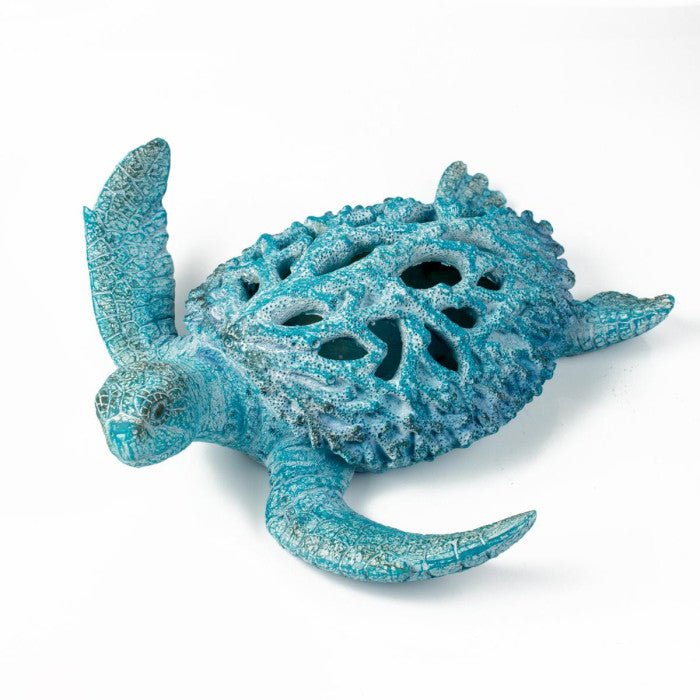 Coral Creatures - Small Blue Turtle - Coral Creatures from thetraditionalgiftshop.pro