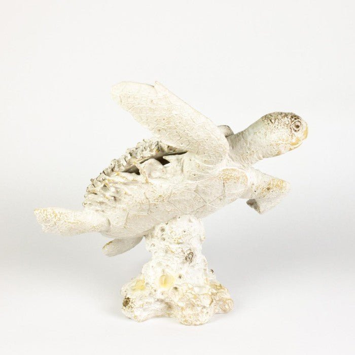 Coral Creatures - Turtle - Coral Creatures from thetraditionalgiftshop.pro