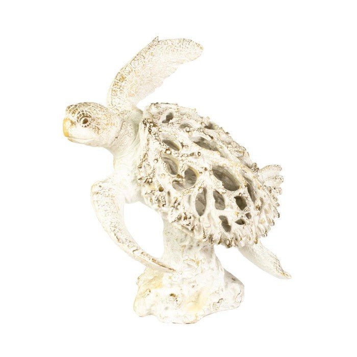 Coral Creatures - Turtle - Coral Creatures from thetraditionalgiftshop.pro