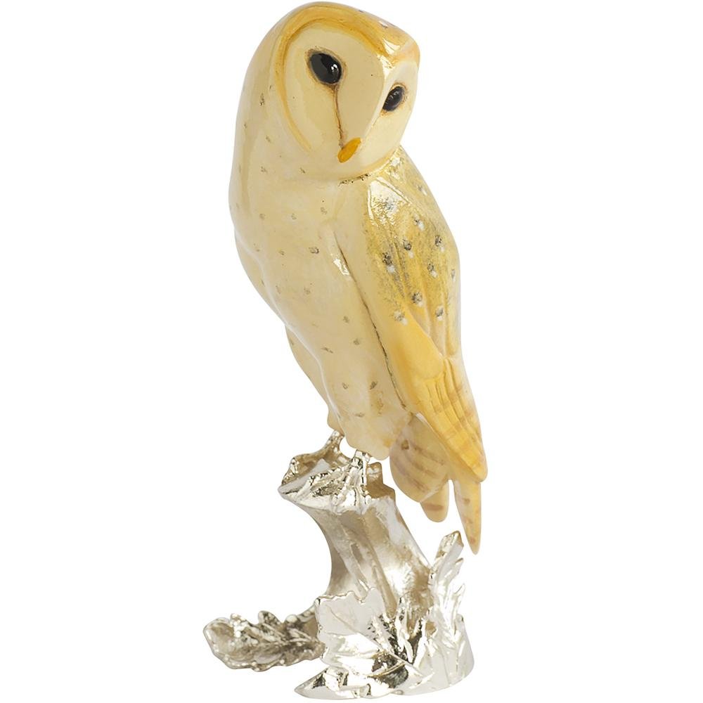 Barn Owl - Nature's Realms from thetraditionalgiftshop.pro