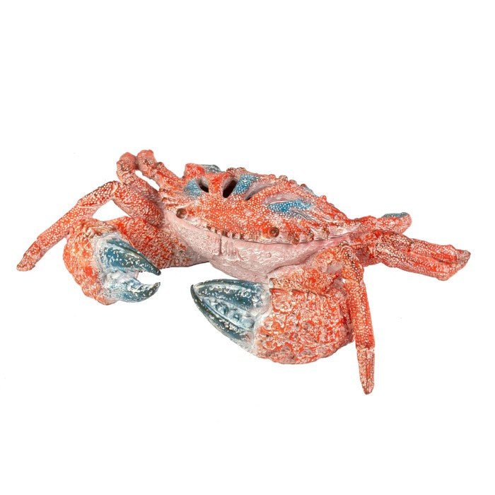 Coral Creatures - Common Shore Crab - Coral Creatures from thetraditionalgiftshop.pro
