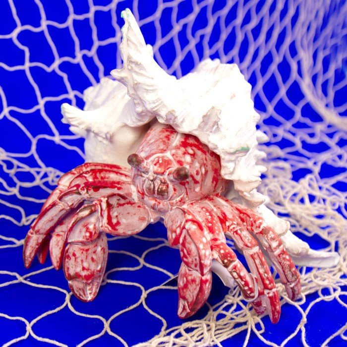 Coral Creatures - Hermit Crab - Coral Creatures from thetraditionalgiftshop.pro