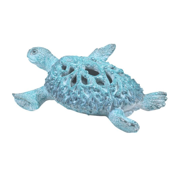 Coral Creatures - Small Blue Turtle - Coral Creatures from thetraditionalgiftshop.pro