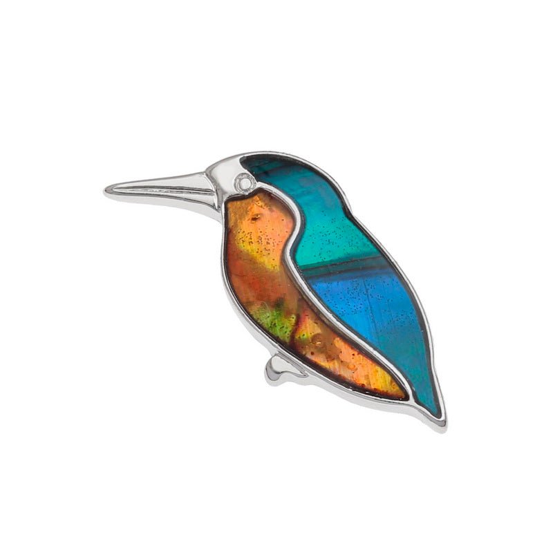 Kingfisher Paua Shell Pin Badge - Tide Jewellery from thetraditionalgiftshop.pro