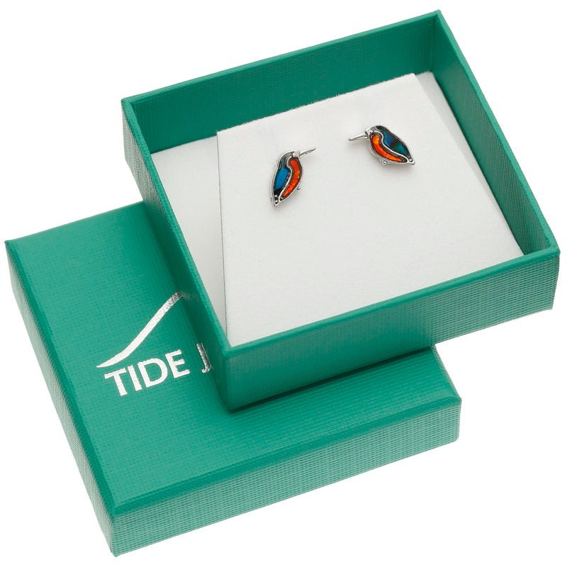 Kingfisher Paua Shell Stud Earrings - Tide Jewellery from thetraditionalgiftshop.pro