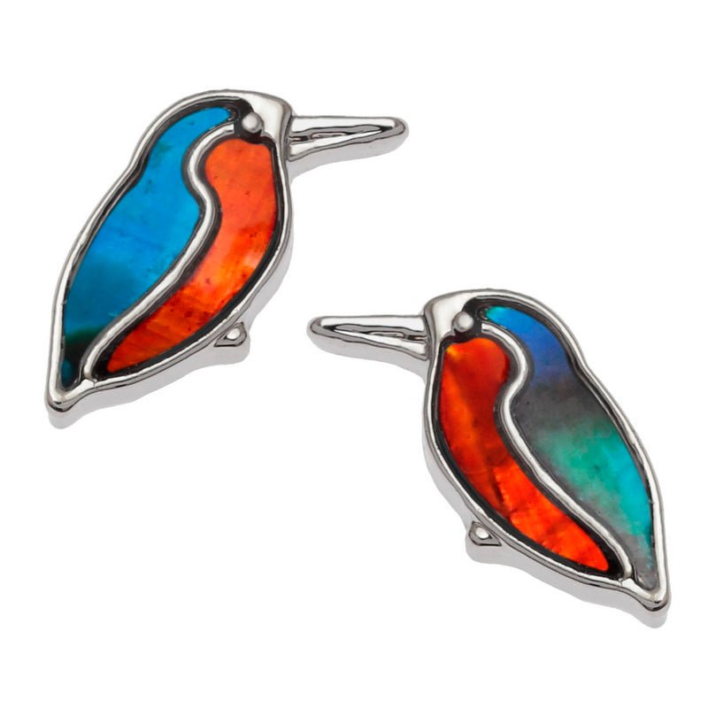 Kingfisher Paua Shell Stud Earrings - Tide Jewellery from thetraditionalgiftshop.pro