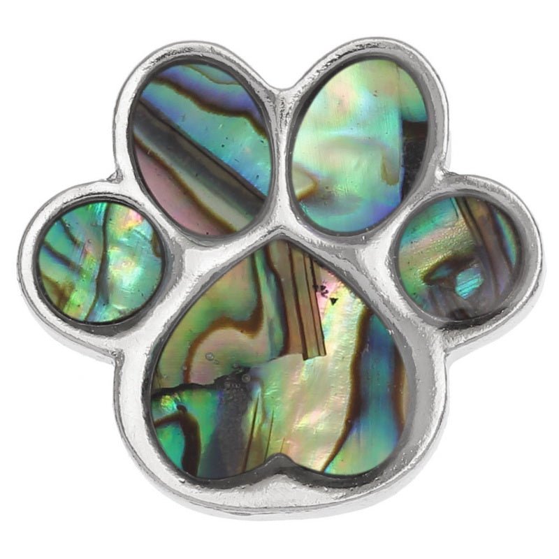 Pet Paw Paua Shell Pin Badge - Tide Jewellery from thetraditionalgiftshop.pro