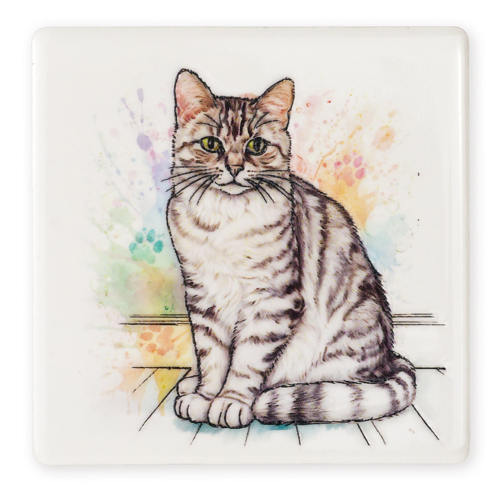 Silver Tabby Cat Ceramic Art Coaster - Art of Arora from thetraditionalgiftshop.pro