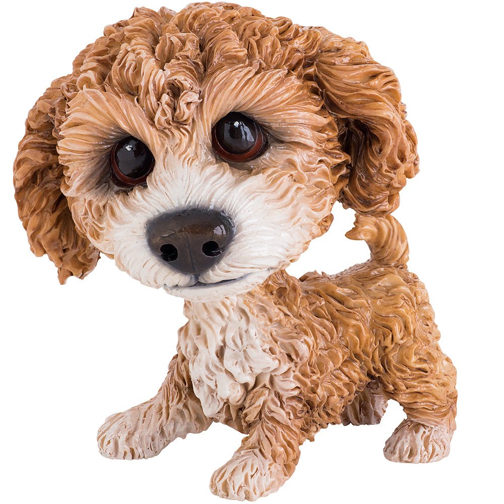 Molly - Cavachon - Little Paws from thetraditionalgiftshop.pro