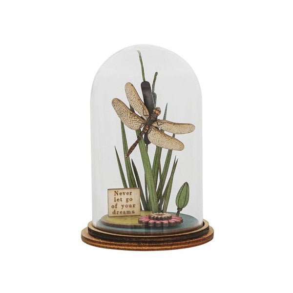 Never Let Go Of Your Dreams (Dragonfly) Kloche - Kloche from thetraditionalgiftshop.pro